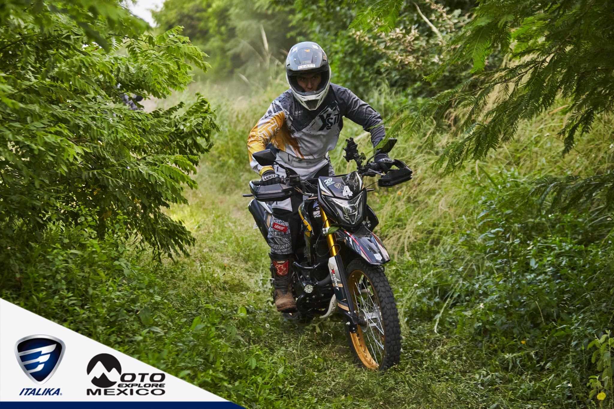 ITALIKA CHACHALACAS D1 395